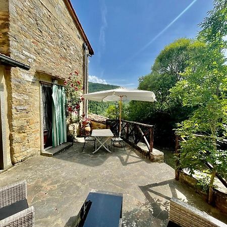 Il Colle - Apartment Gelso San Godenzo Dış mekan fotoğraf